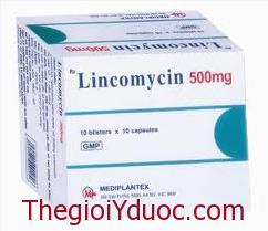 LINCOMYCIN
